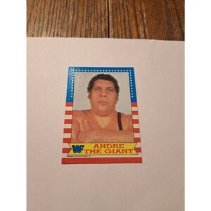Vintage 1987 WWF Andre the Giant Wrestling Trading Card Titan Sports Raw
